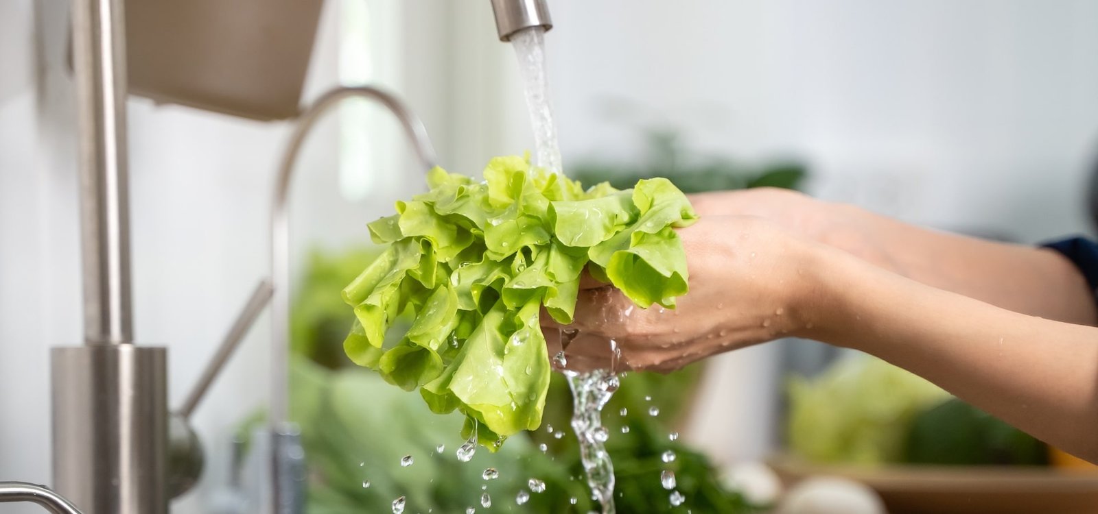 A água e os alimentos o sabor da qualidade começa na pureza