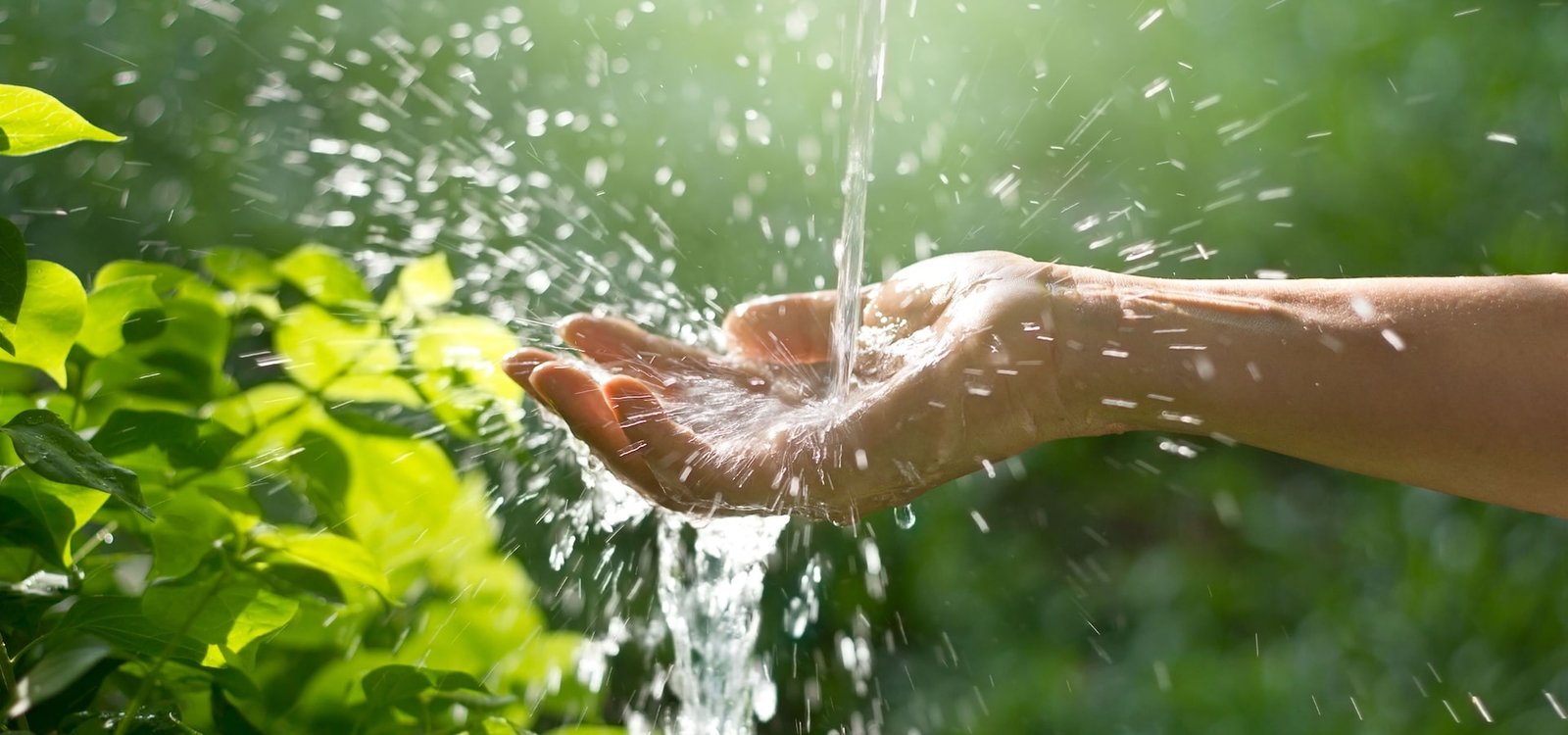 Sustentabilidade e Futuro da Água