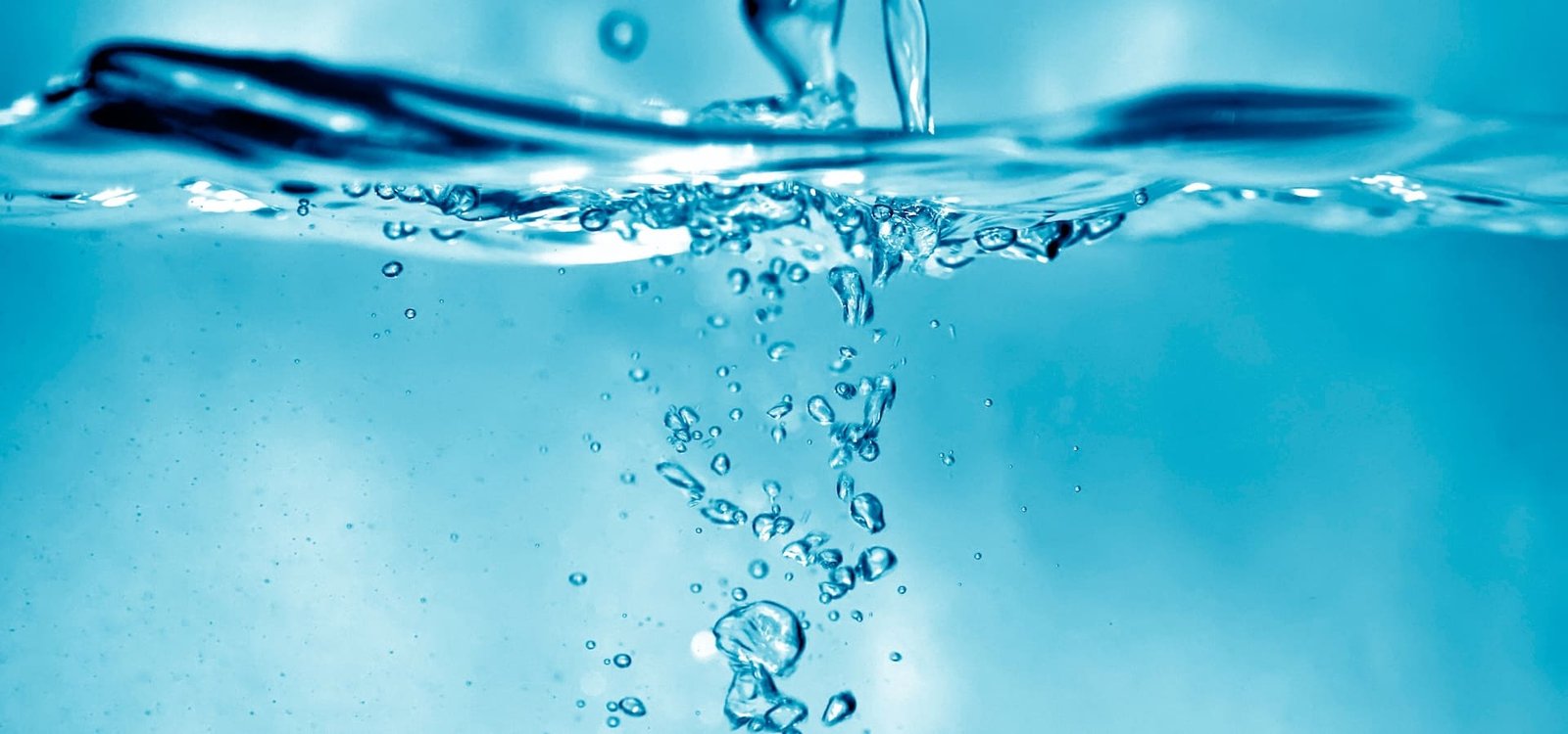 Os nutrientes da água o detalhe invisível que faz toda a diferença.